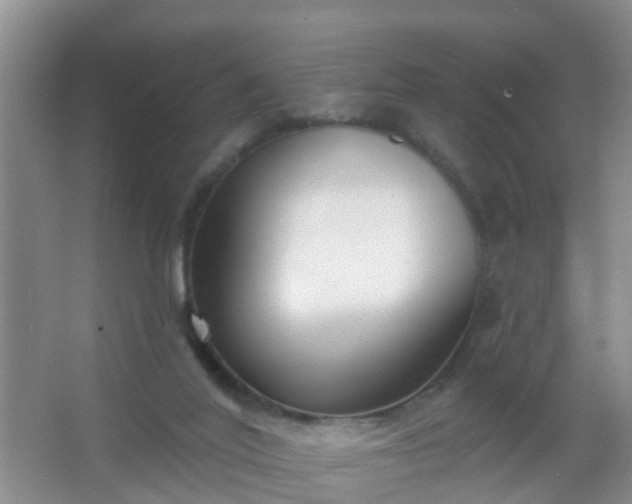 X0000067490020200604150053