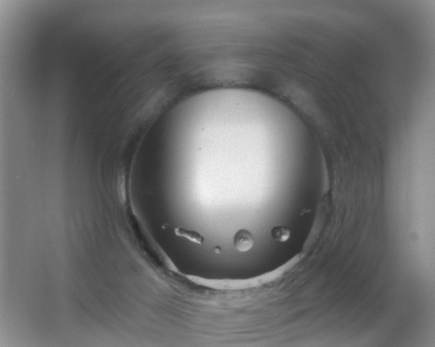 X0000067490021200604150053