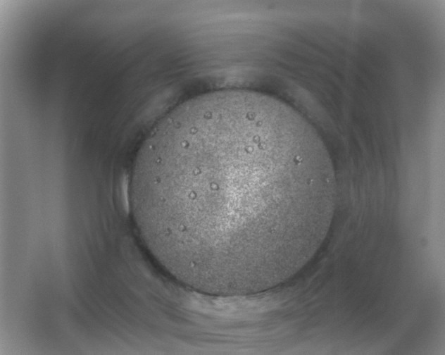 X0000067490022200604150053