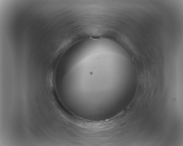 X0000067490023200604150053