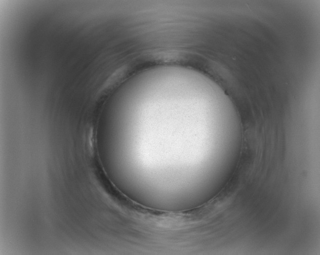 X0000067490024200604150053