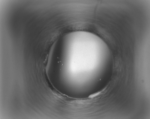 X0000067490025200604150053