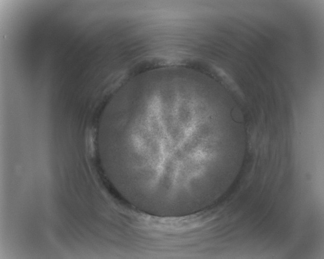 X0000067490026200604150053