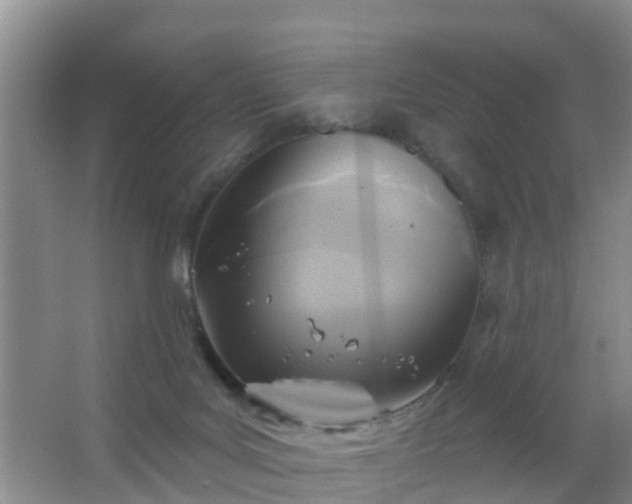 X0000067490027200604150053