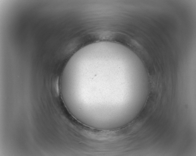 X0000067490028200604150053