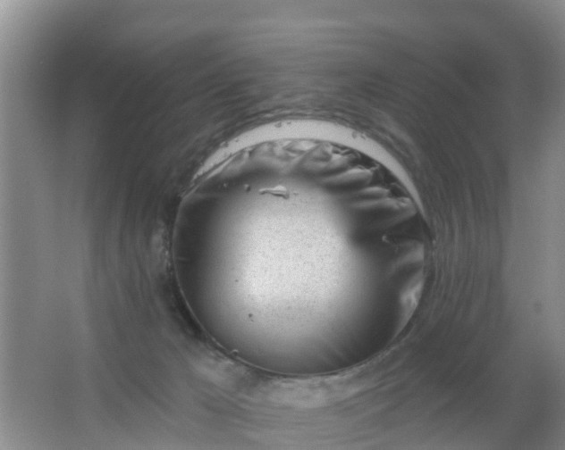 X0000067490029200604150053