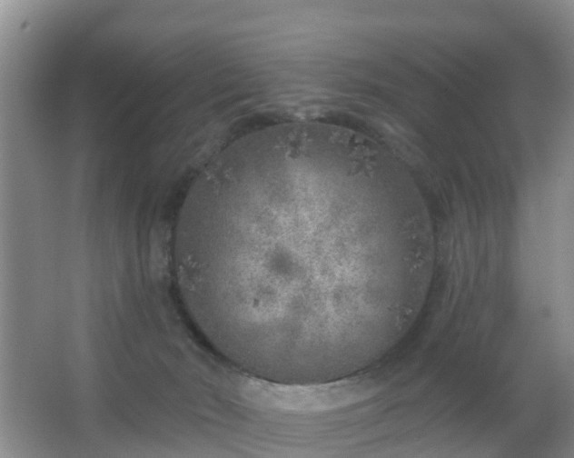 X0000067490030200604150053