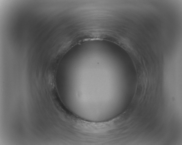 X0000067490031200604150053