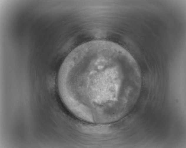 X0000067490032200604150053