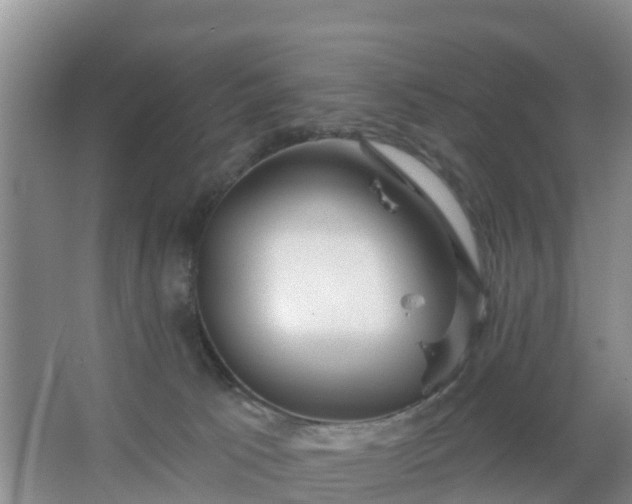 X0000067490033200604150053