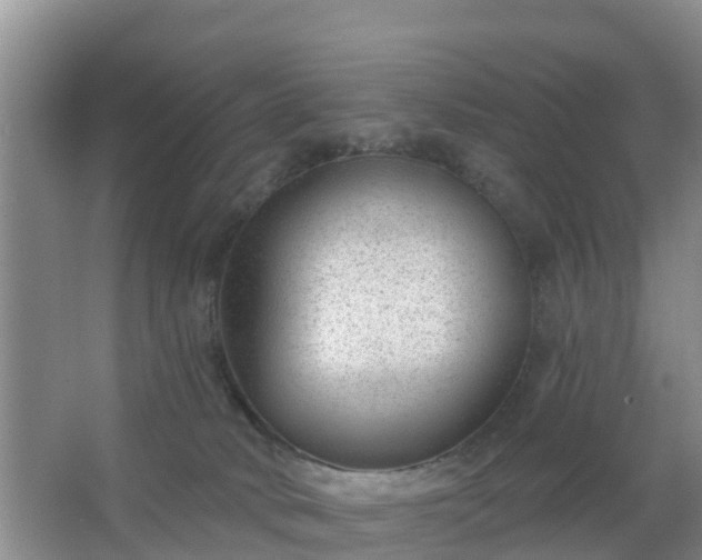 X0000067490034200604150053