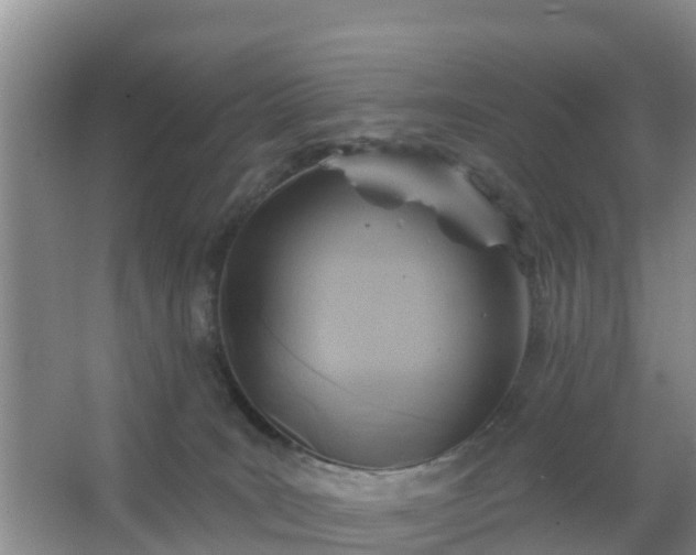 X0000067490035200604150053