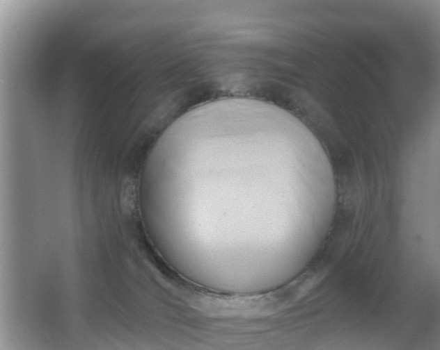 X0000067490036200604150053