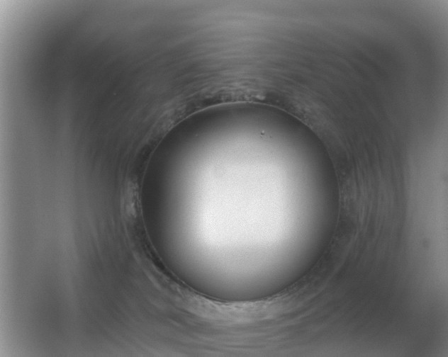 X0000067490038200604150053