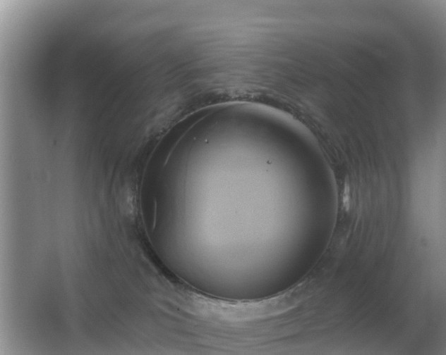 X0000067490039200604150053