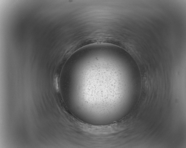 X0000067490042200604150053