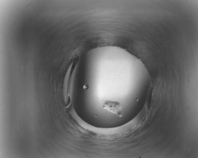 X0000067490045200604150053