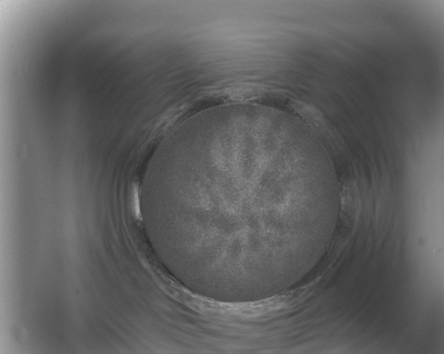 X0000067490046200604150053