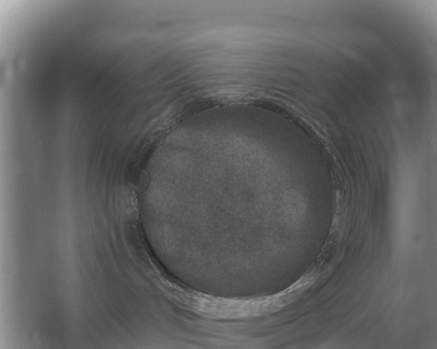 X0000067490048200604150053