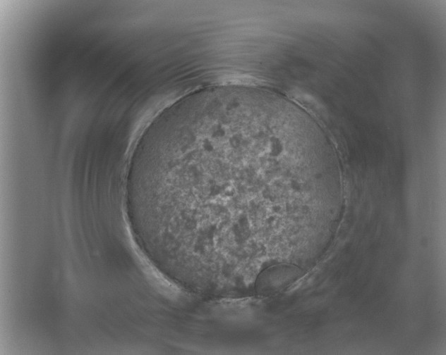 X0000067490049200604150052