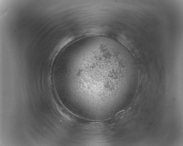 X0000067490050200604150052