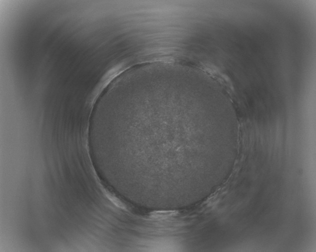 X0000067490051200604150052