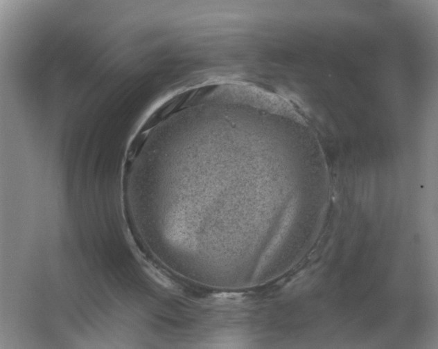 X0000067490052200604150052