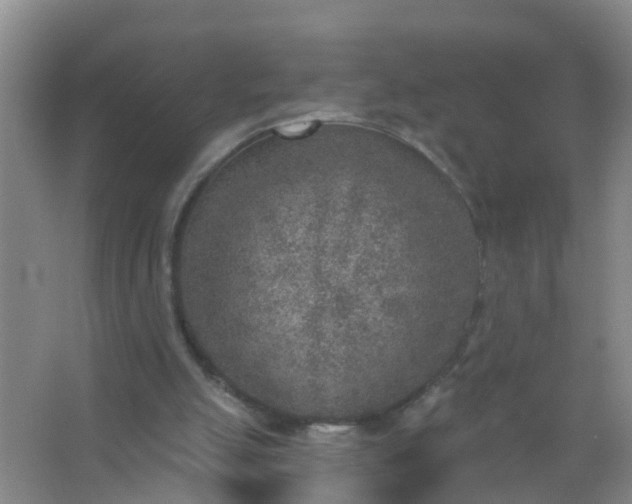 X0000067490055200604150052