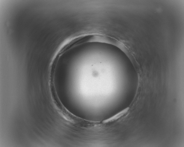 X0000067490056200604150052