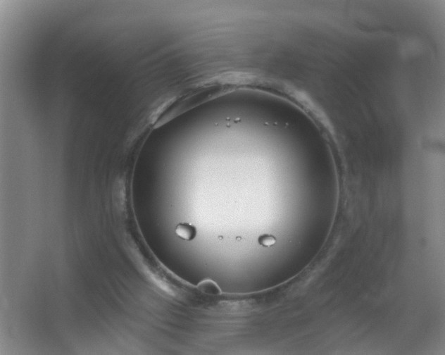 X0000067490057200604150052