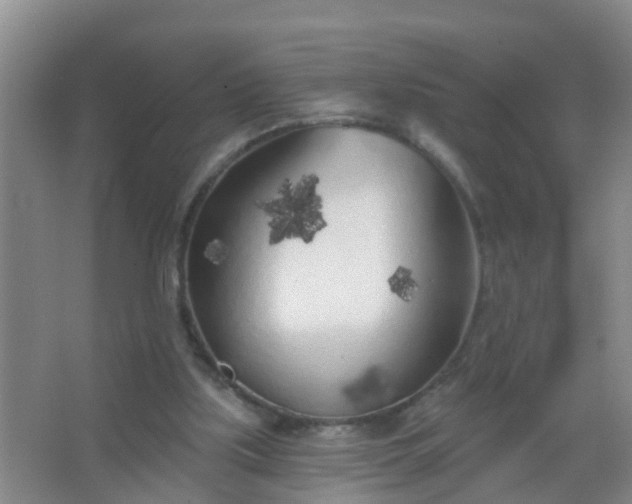 X0000067490059200604150052