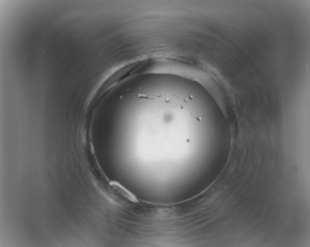 X0000067490060200604150052