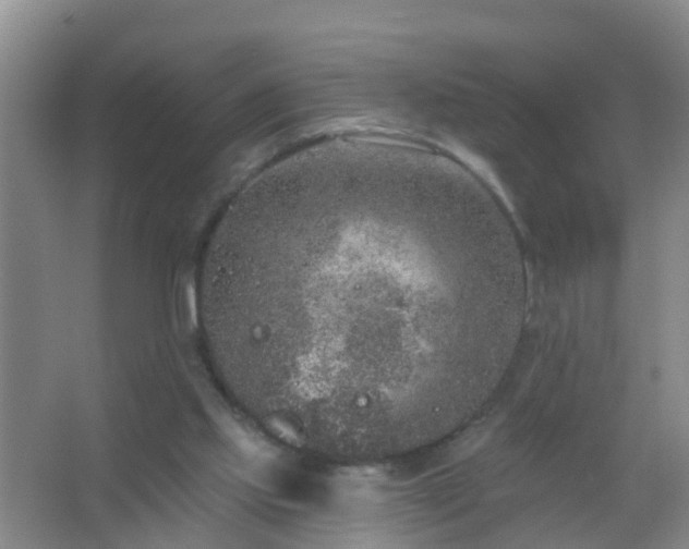 X0000067490061200604150052