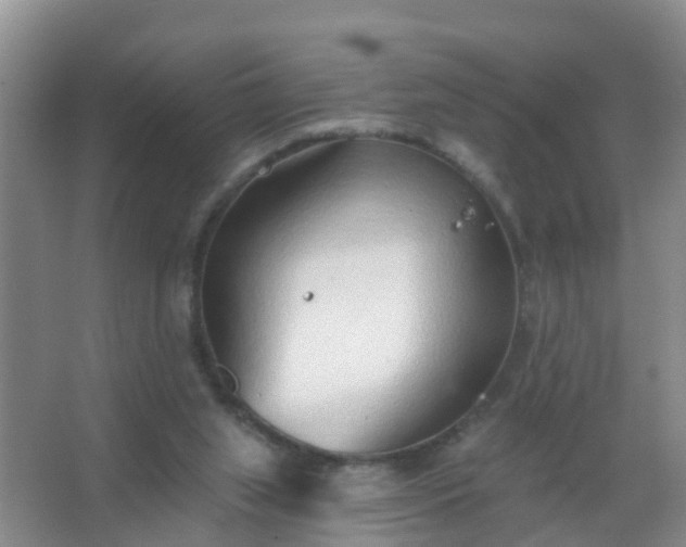 X0000067490063200604150052