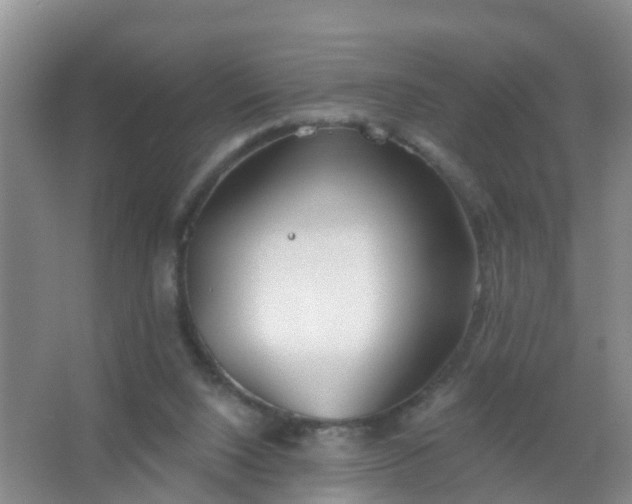 X0000067490064200604150052