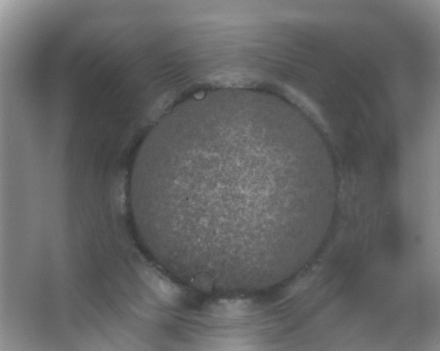 X0000067490065200604150052