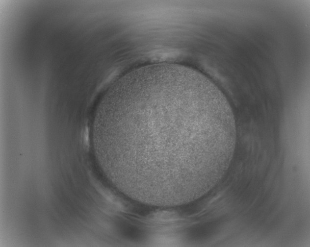 X0000067490067200604150052