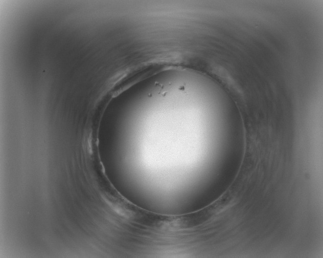 X0000067490068200604150052