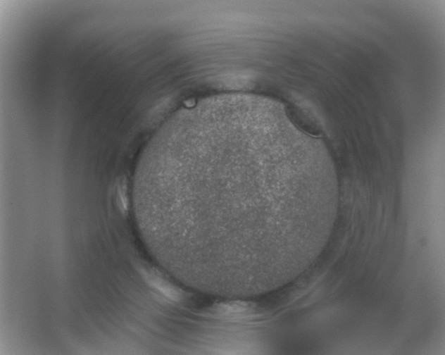 X0000067490069200604150052