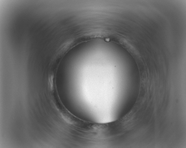 X0000067490070200604150052