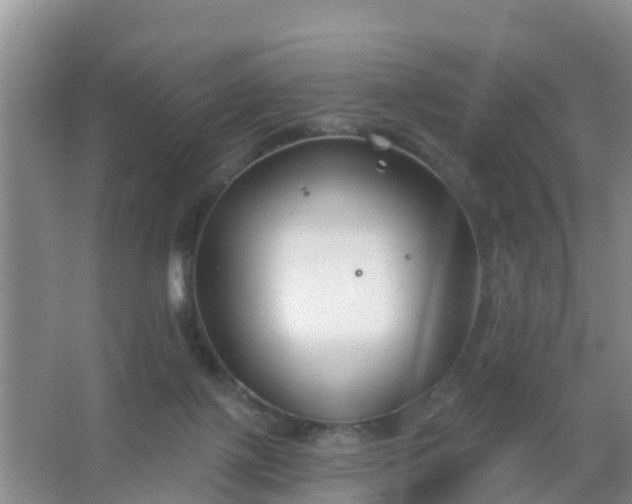 X0000067490075200604150053