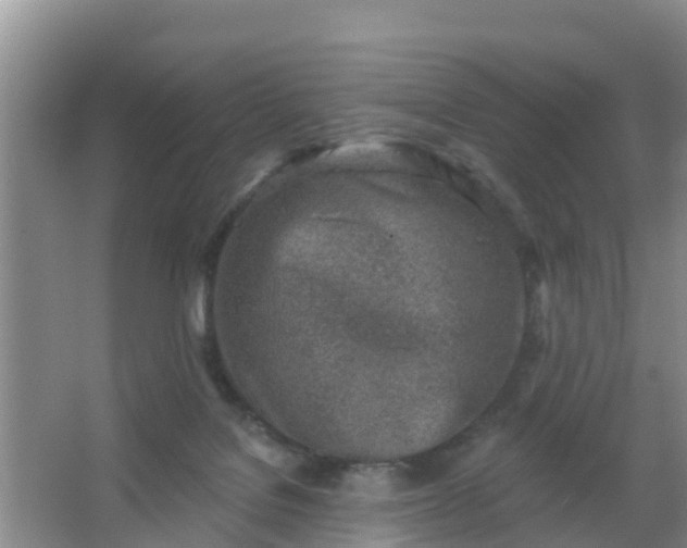 X0000067490076200604150053