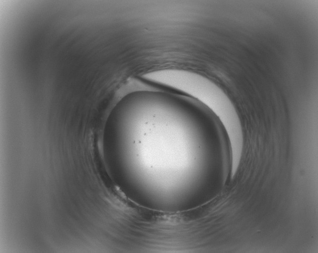 X0000067490077200604150053