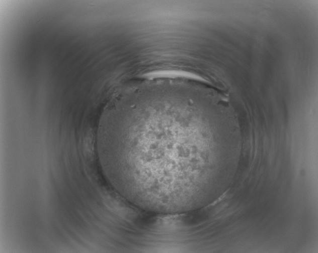 X0000067490078200604150053