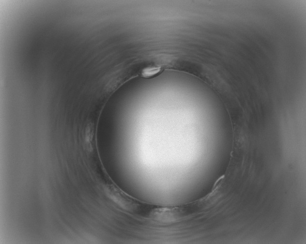 X0000067490082200604150053