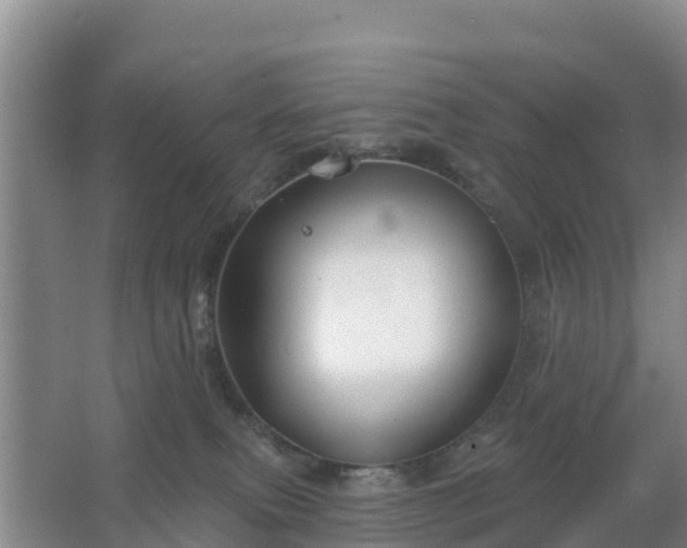 X0000067490087200604150053