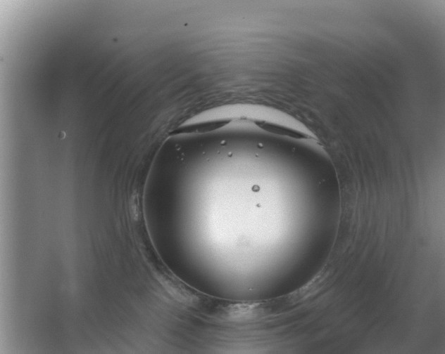 X0000067490090200604150053