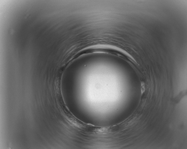 X0000067490092200604150053