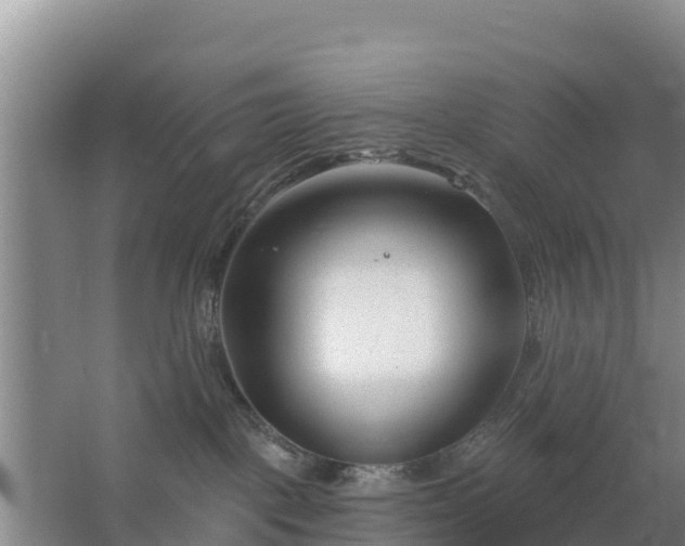 X0000067490093200604150053