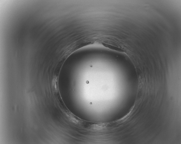 X0000067490094200604150053